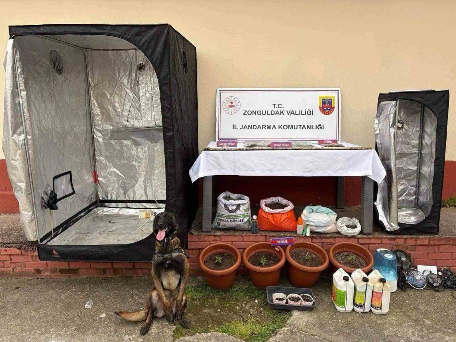 zonguldakta jandarmanin uyusturucu operasyonunda 2 supheli tutuklandi 0 MjTfQNH2
