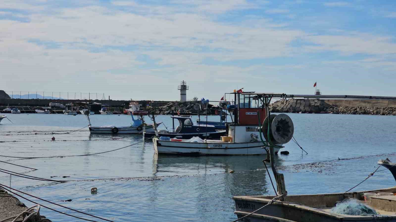 zonguldakta limandan 500 ton hamsi cikti 1 DhQYvlpt