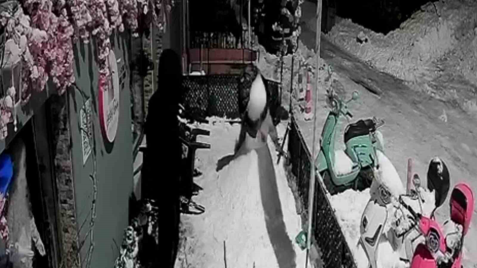zonguldakta pes dedirten olay bana carpti deyip kardan adami dovduler 6 FaBO7HuI