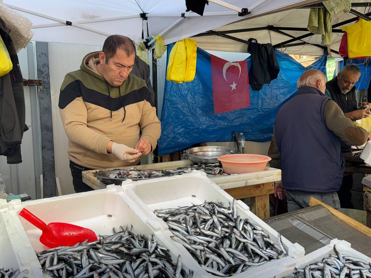 zonguldakta tezgahtaki hamsi yerini diger cesit baliklara birakiyor 2 4VCVpA5h