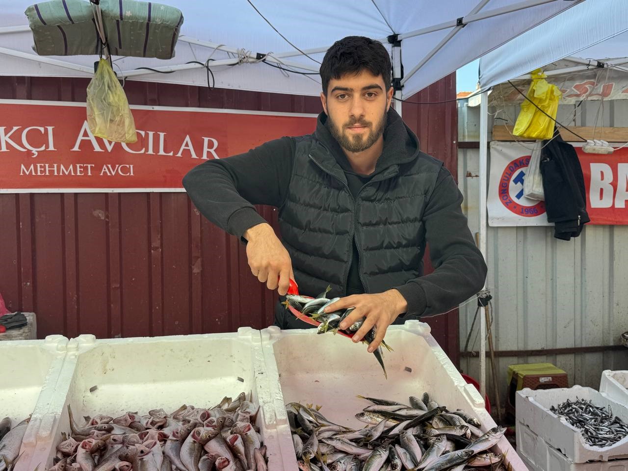 zonguldakta tezgahtaki hamsi yerini diger cesit baliklara birakiyor 3 vfJh2wKw