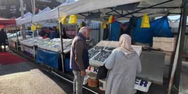 zonguldakta-tezgahtaki-hamsi-yerini-diger-cesit-baliklara-birakiyor-3SZQqiOt.jpg