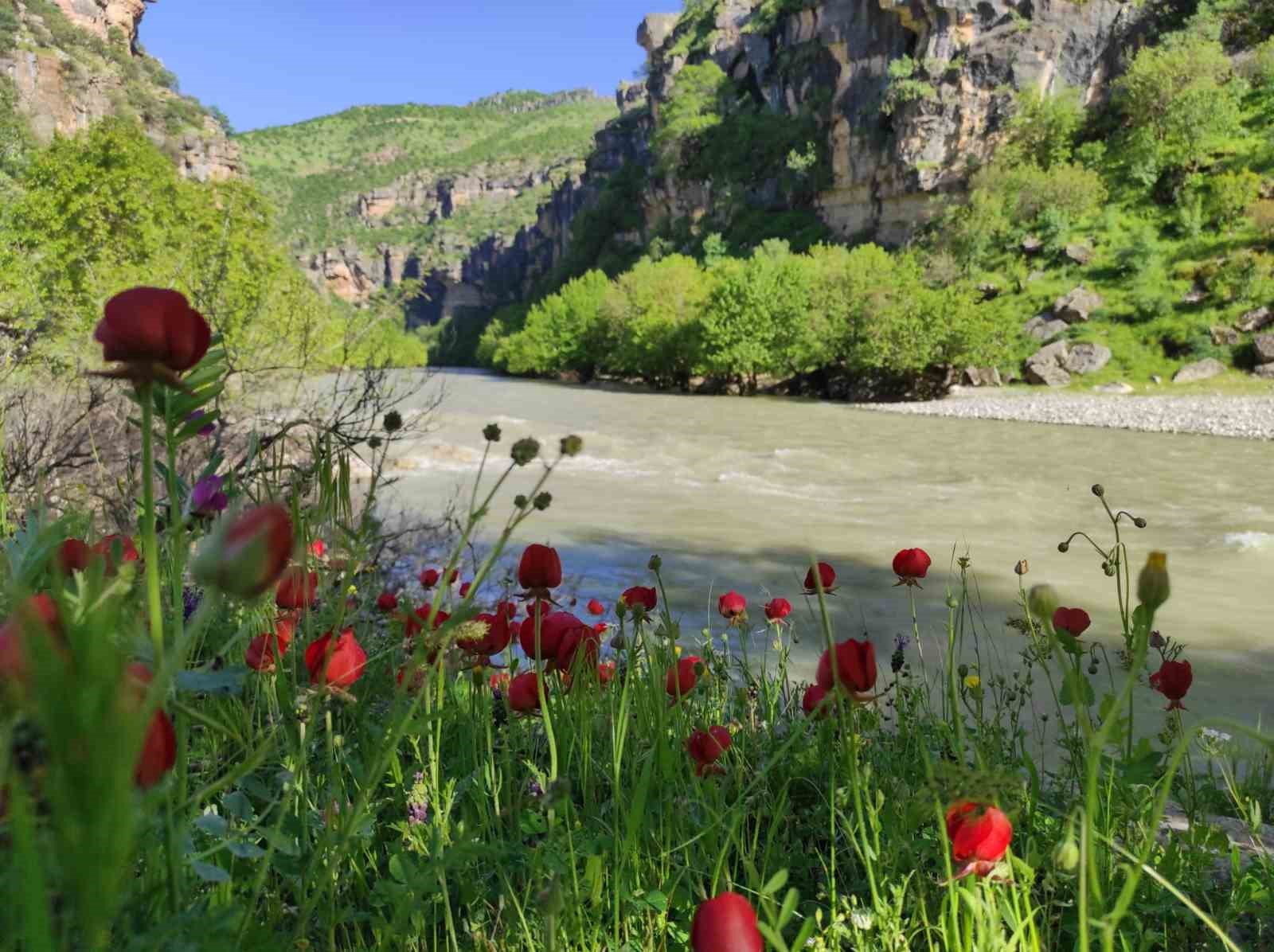 zore kanyonu ve selalesi gorenleri hayran birakiyor 2 Z6NvGLTu