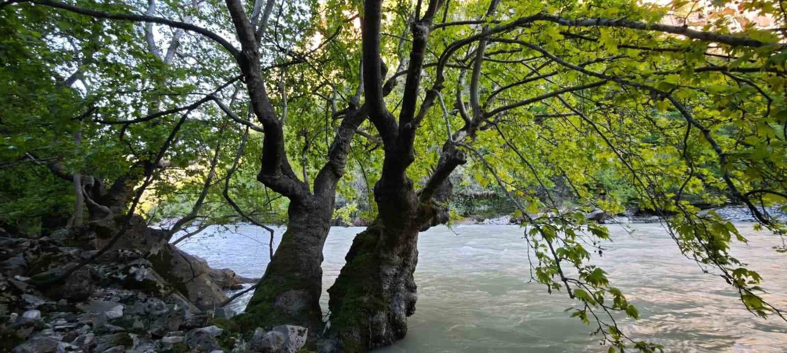 zore kanyonu ve selalesi gorenleri hayran birakiyor 6 9cEKHX4T